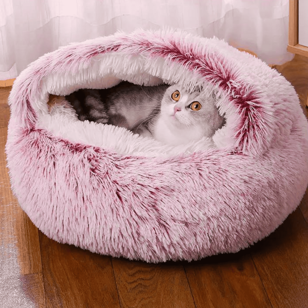Comfort Bed - Voor Vrolijke Huisdieren