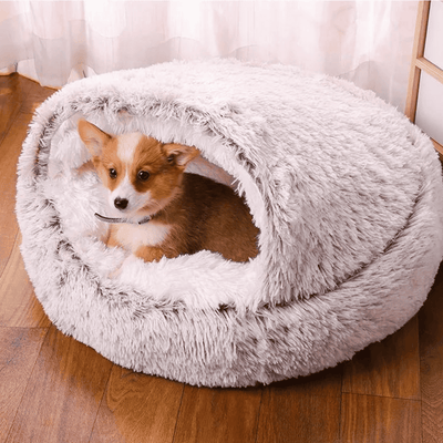 Comfort Bed - Voor Vrolijke Huisdieren